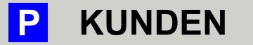 Budget Parkplatzschild KUNDEN