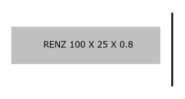RENZ 100